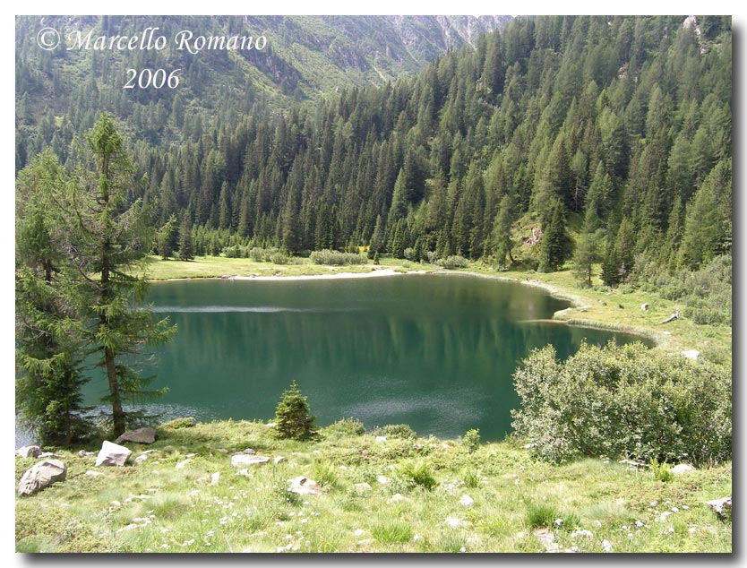 Insetti del Parco Adamello Brenta (TN): immagini e appunti